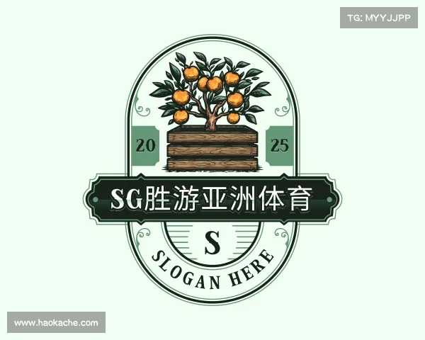 了解SG胜游官网